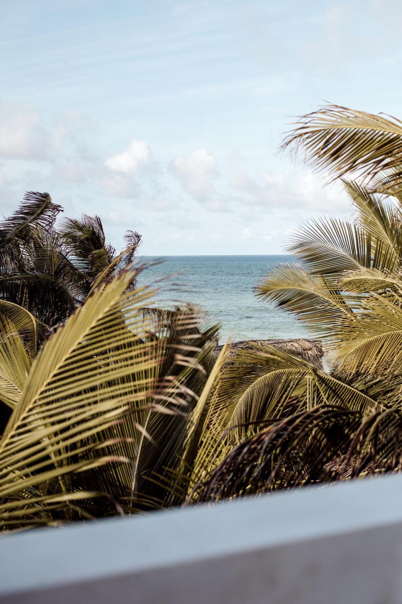 Umi Tulum Hotell Eksteriør bilde