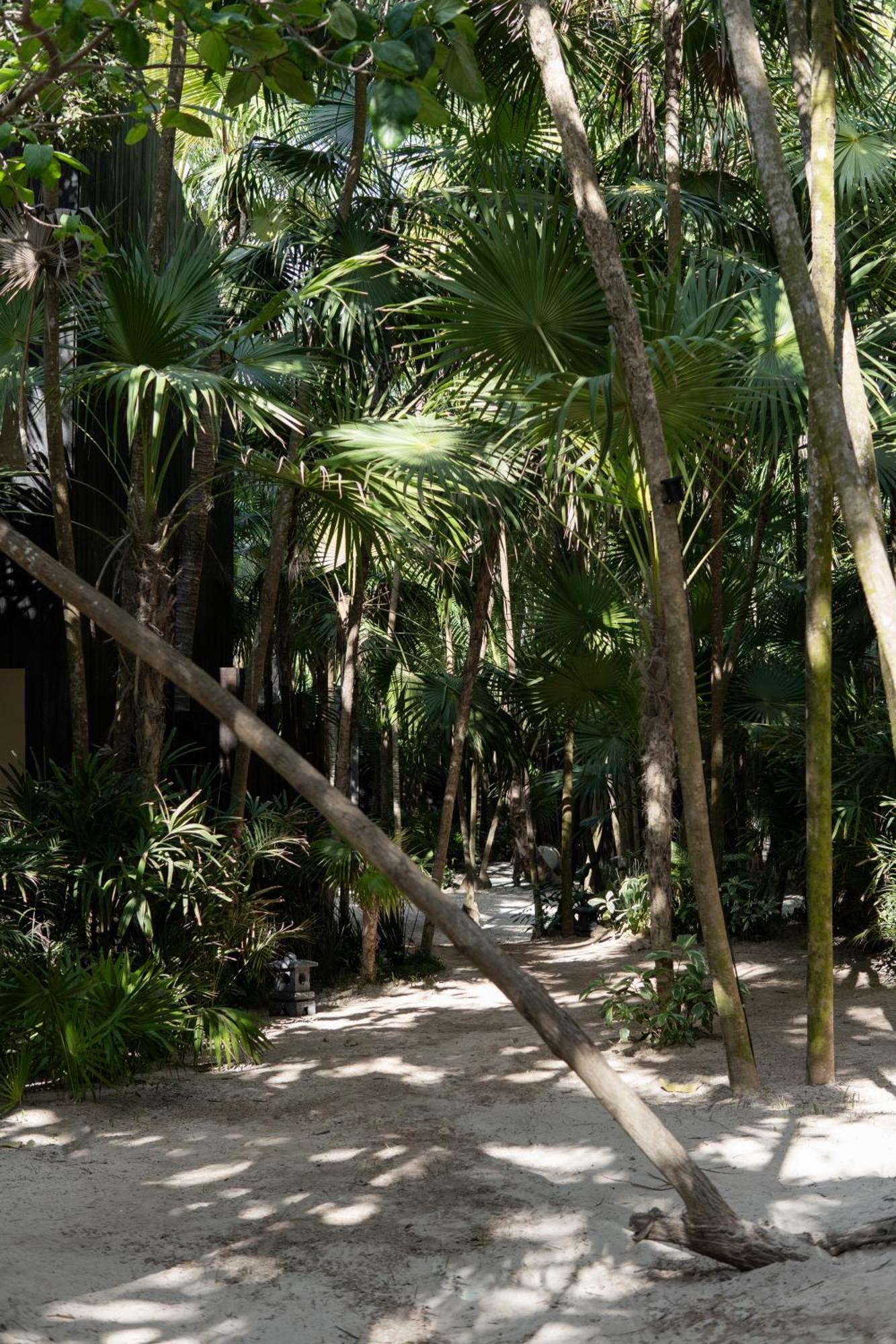 Umi Tulum Hotell Eksteriør bilde