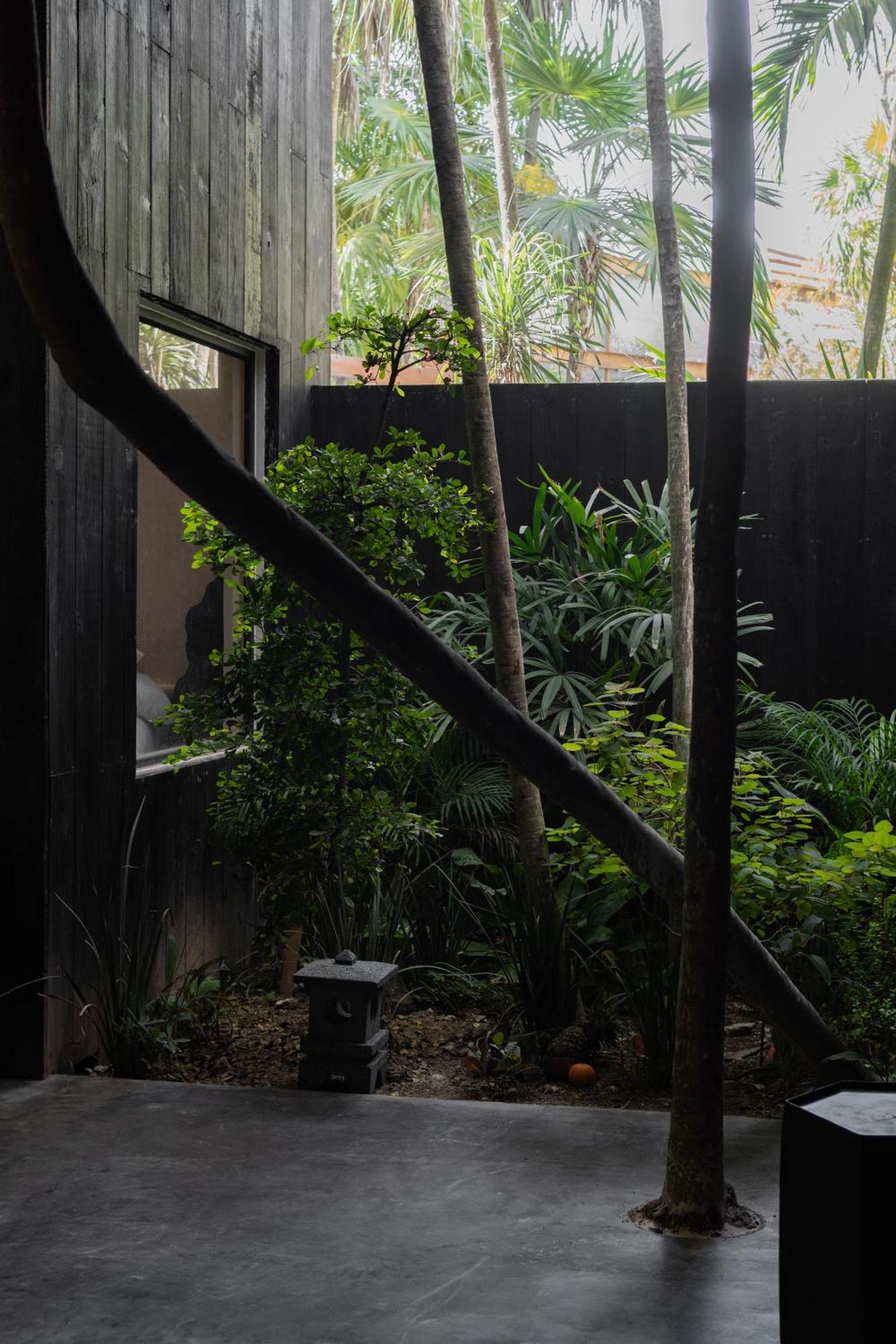 Umi Tulum Hotell Eksteriør bilde