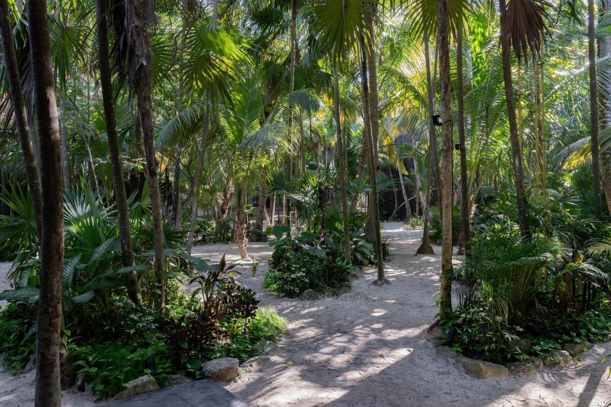 Umi Tulum Hotell Eksteriør bilde