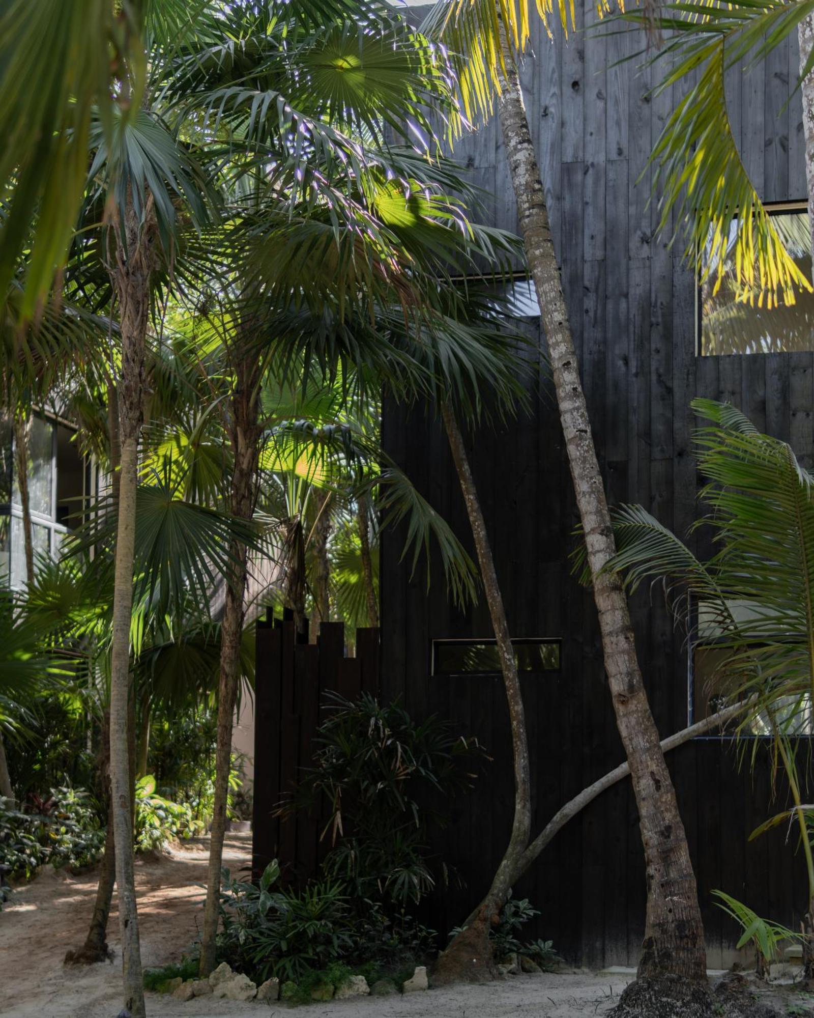 Umi Tulum Hotell Eksteriør bilde